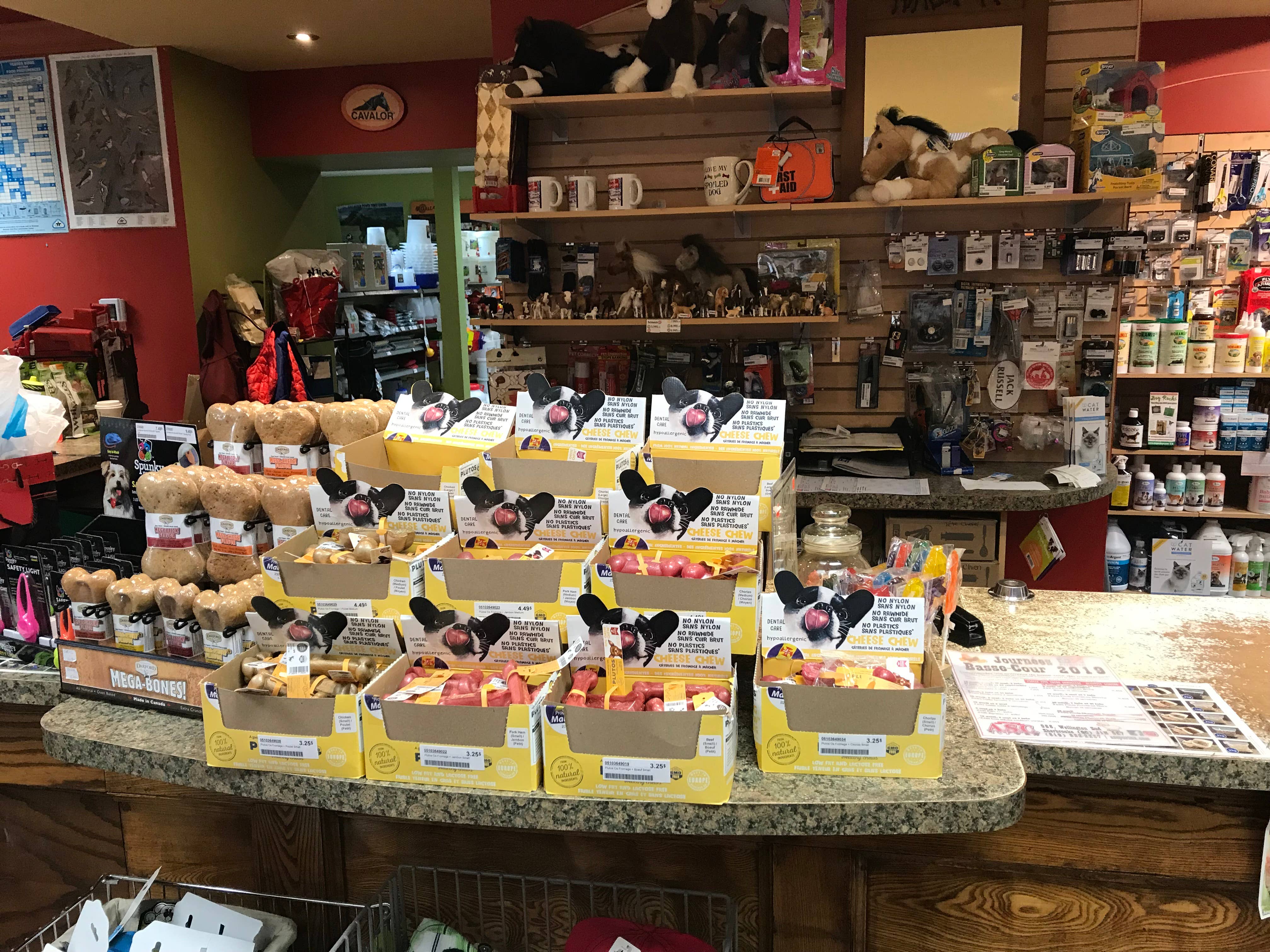 PLUTOS CHEWS - Wholesale Pet Treats - Dog - Dog Dental Chew Cheese & Beef  XL (10)7