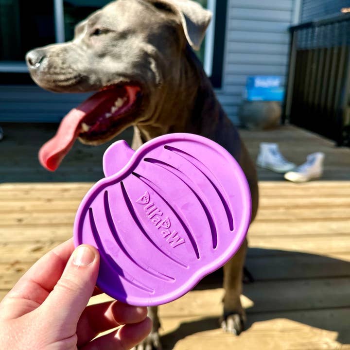 DuraPaw – Brinquedo de mastigar para cão - Cão por atacado – Brinquedo para Cães DuraPaw Nylon Abóbora para Mastigadores Poderosos2