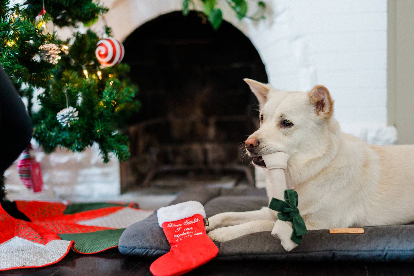 P.L.A.Y. Pet Lifestyle and You – wholesale Holiday Stocking – Merry Woofmas Good Dog Stocking2