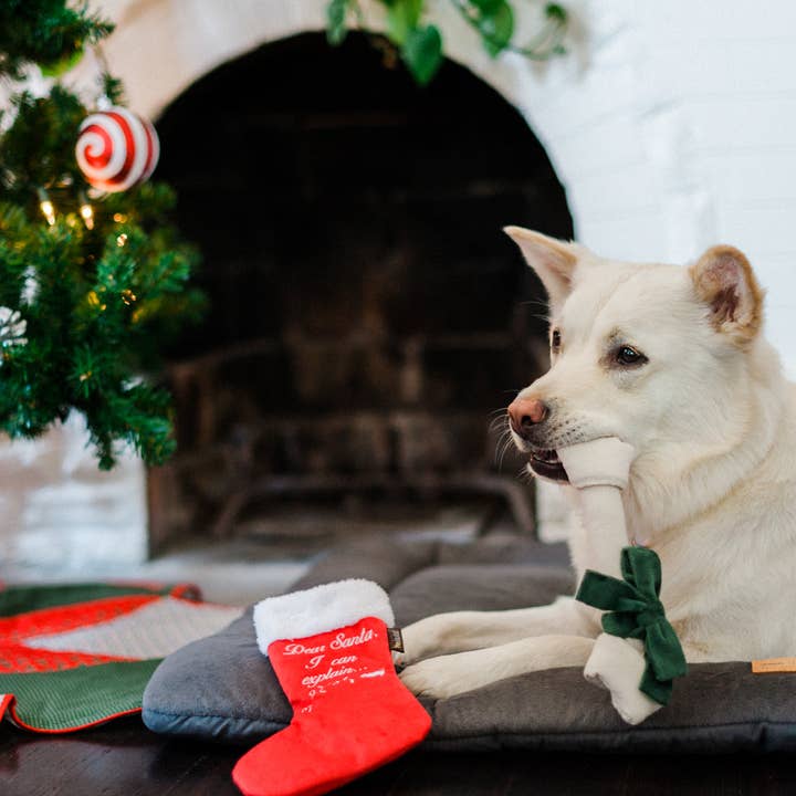 P.L.A.Y. Pet Lifestyle and You – wholesale Holiday Stocking – Merry Woofmas Good Dog Stocking2