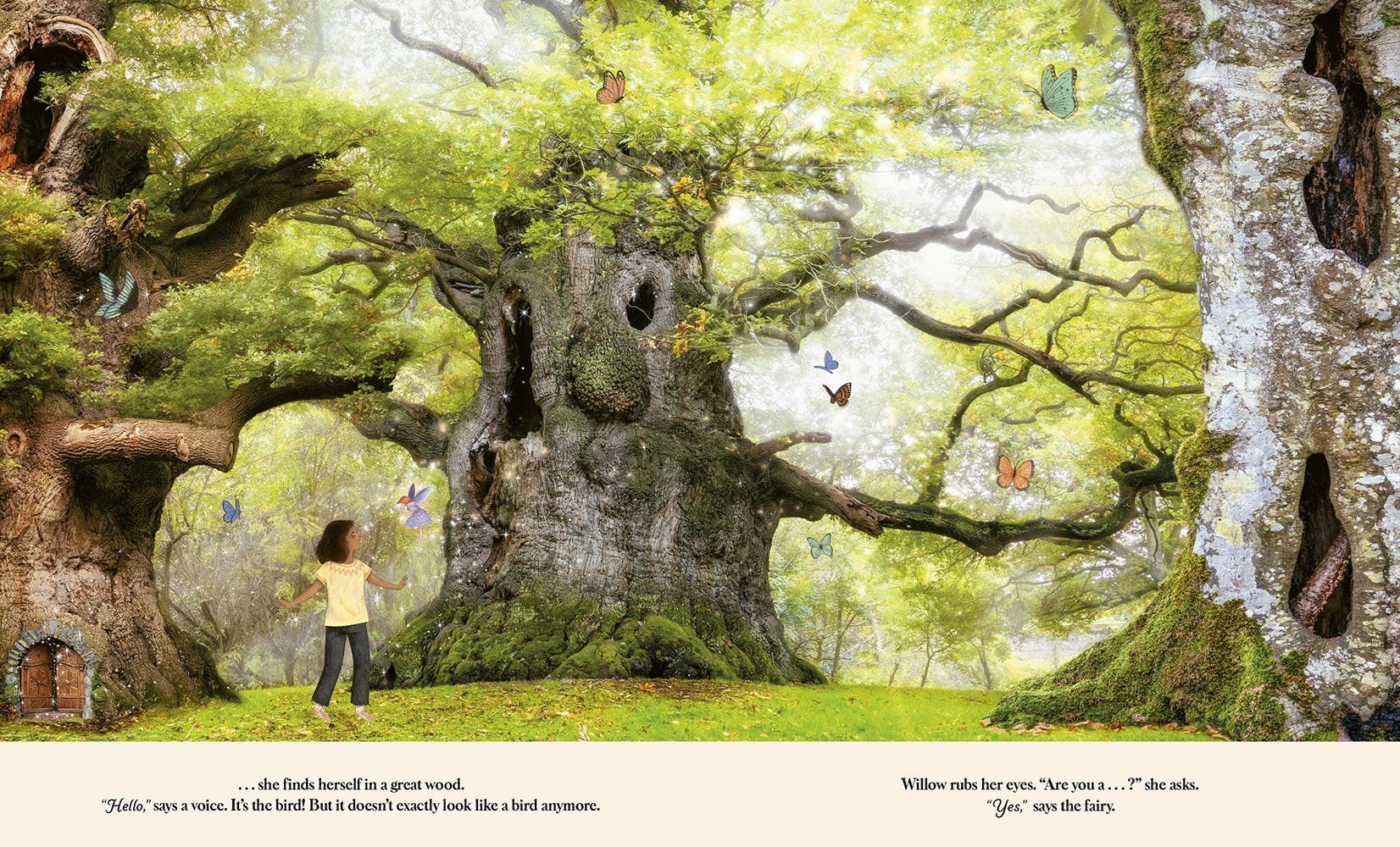 Abrams - Wholesale Preschool Book (3-5) - Through the Fairy Door1