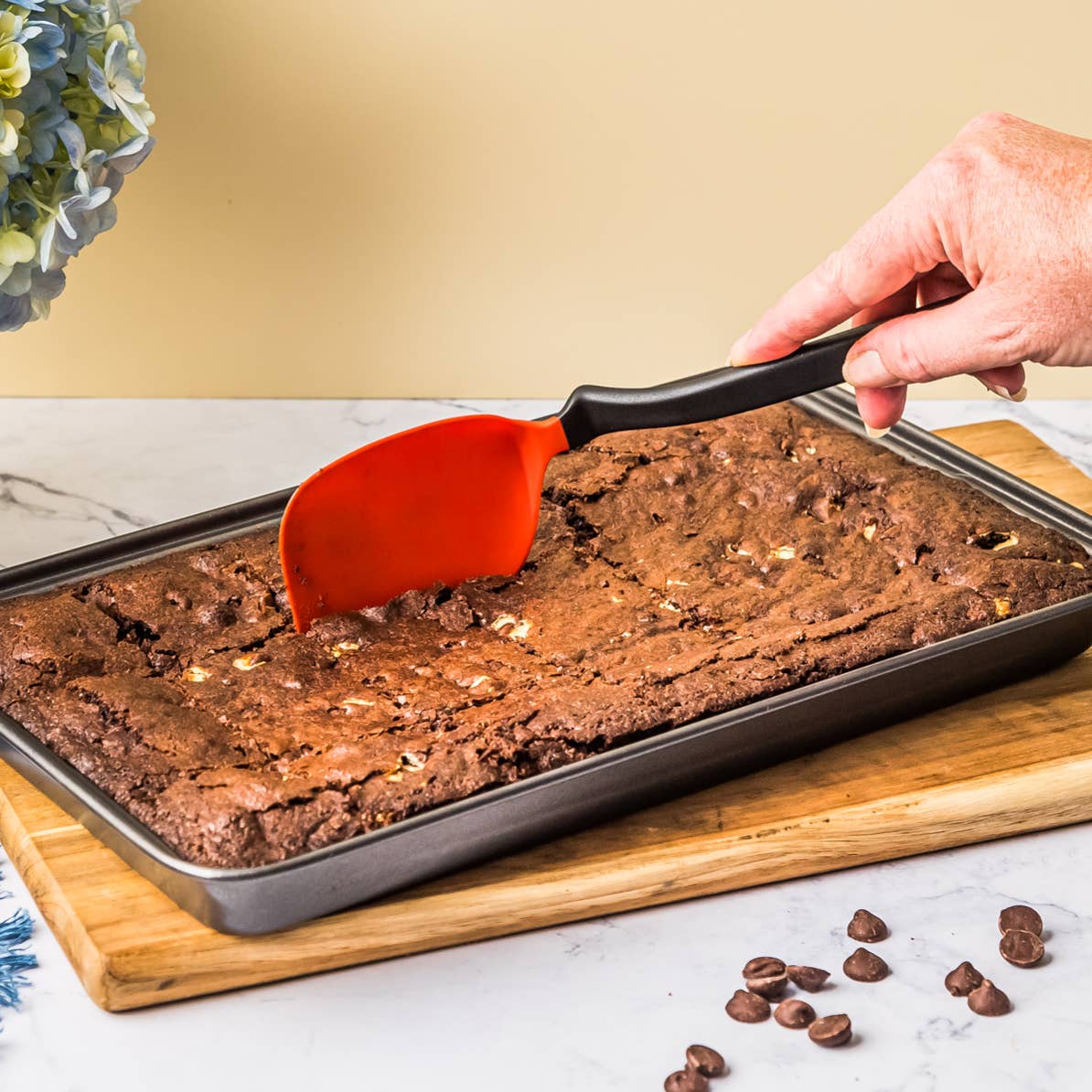 Dreamfarm - Wholesale Kitchen Tool/Gadget - Mini Chopula - Chopping Sit Up Spatula - Jar4