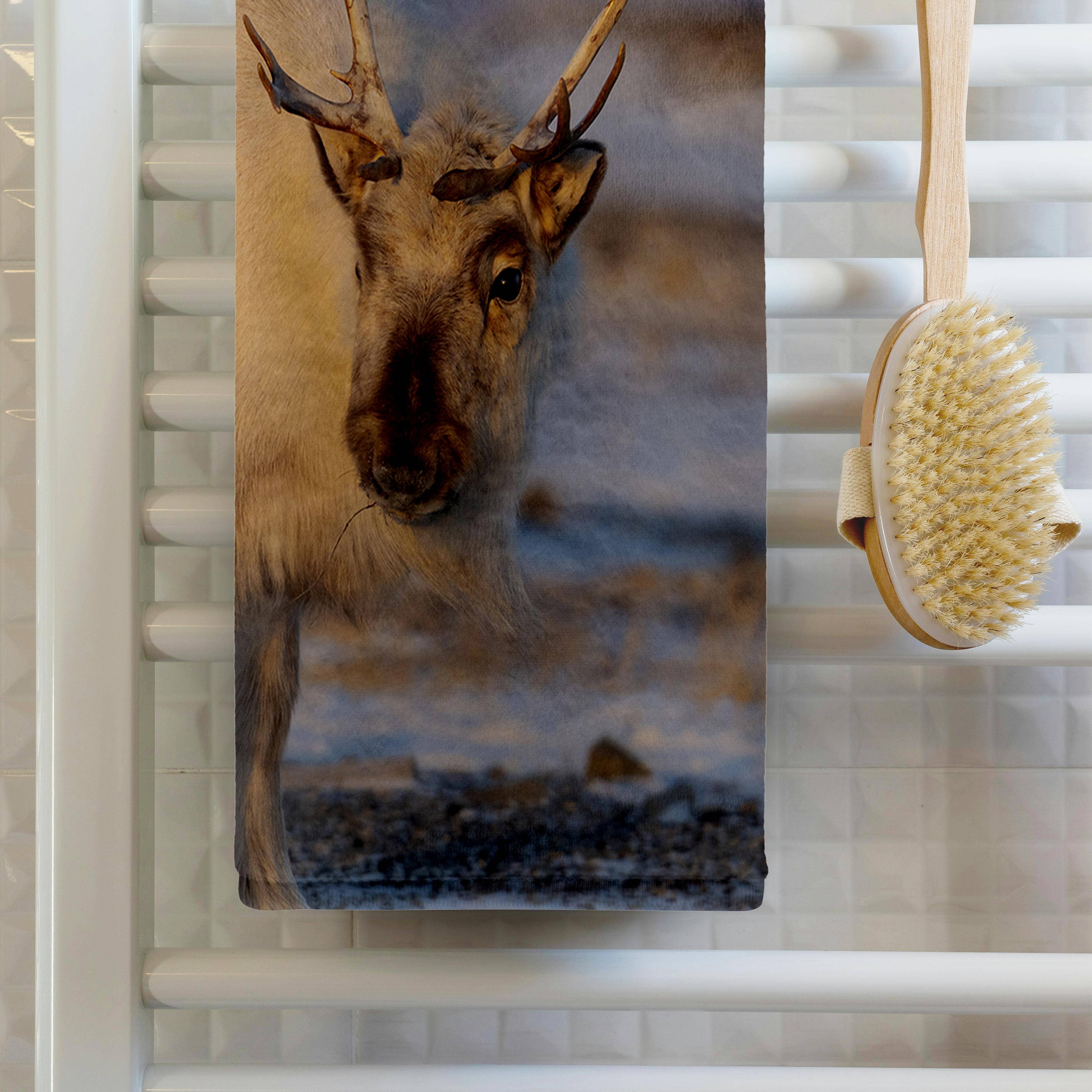 3dRose - Wholesale Bath Towel - 3dRose, Female Svalbard Reindeer near Pyramiden, Polar Regions, Arctic. 2, Towel1