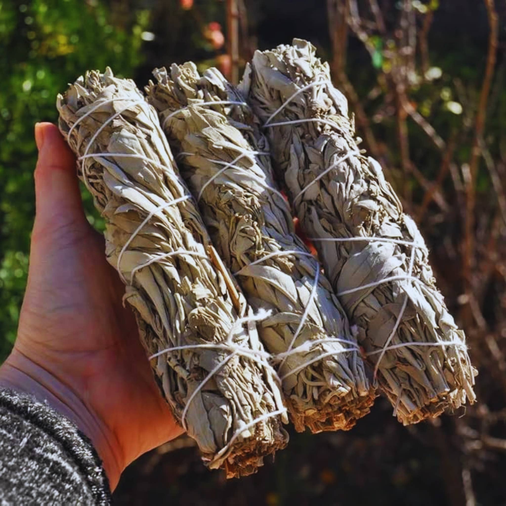 Third Eye Sage - Venta al por mayor Salvia - Paquete de barritas para difuminar California White Sage de 6 pulgadas1