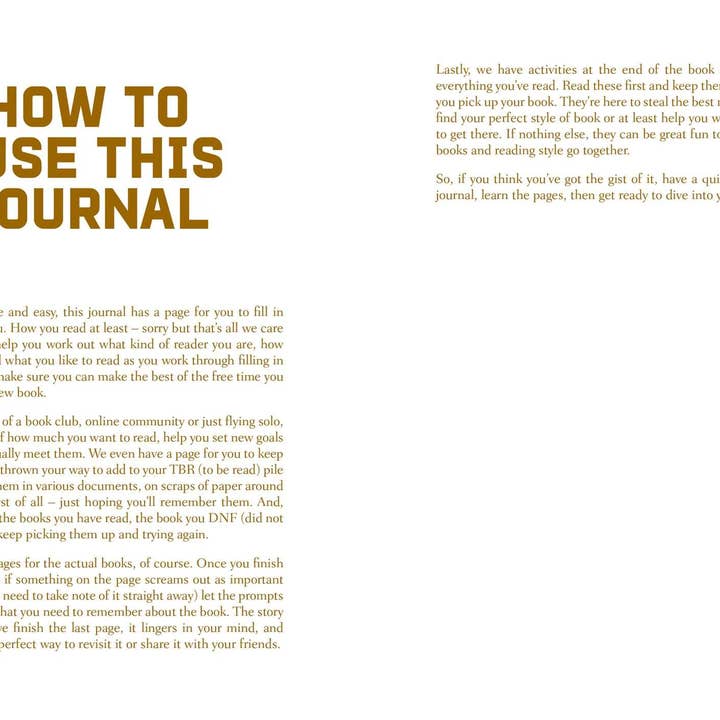 WONDER IMPORTS AUSTRALIA - Wholesale Journal/diary - A Reading Journal: Mostly Here for the Smut3