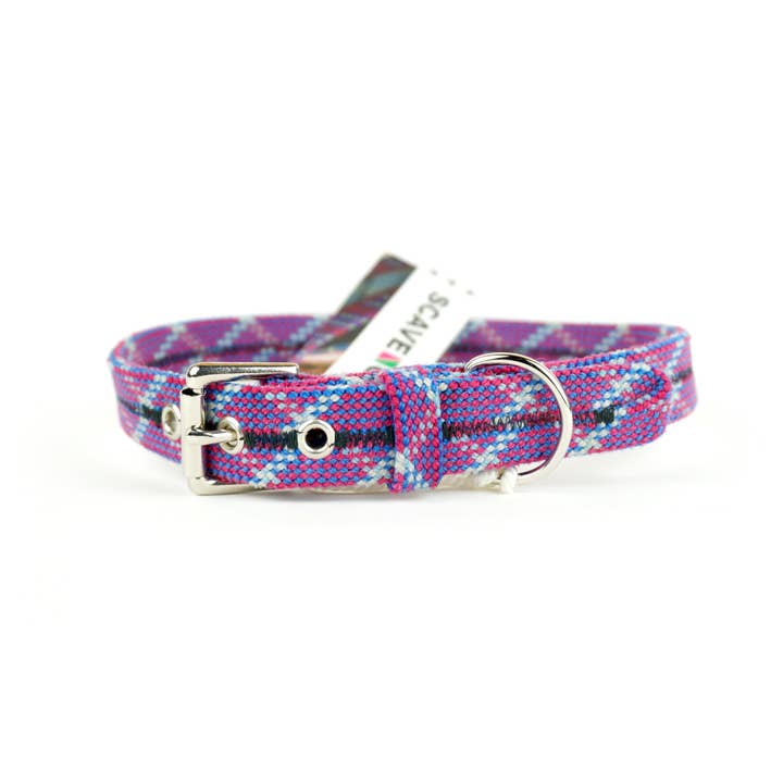 Scavenger - Wholesale Pet Collar - Dog - Dog Collar