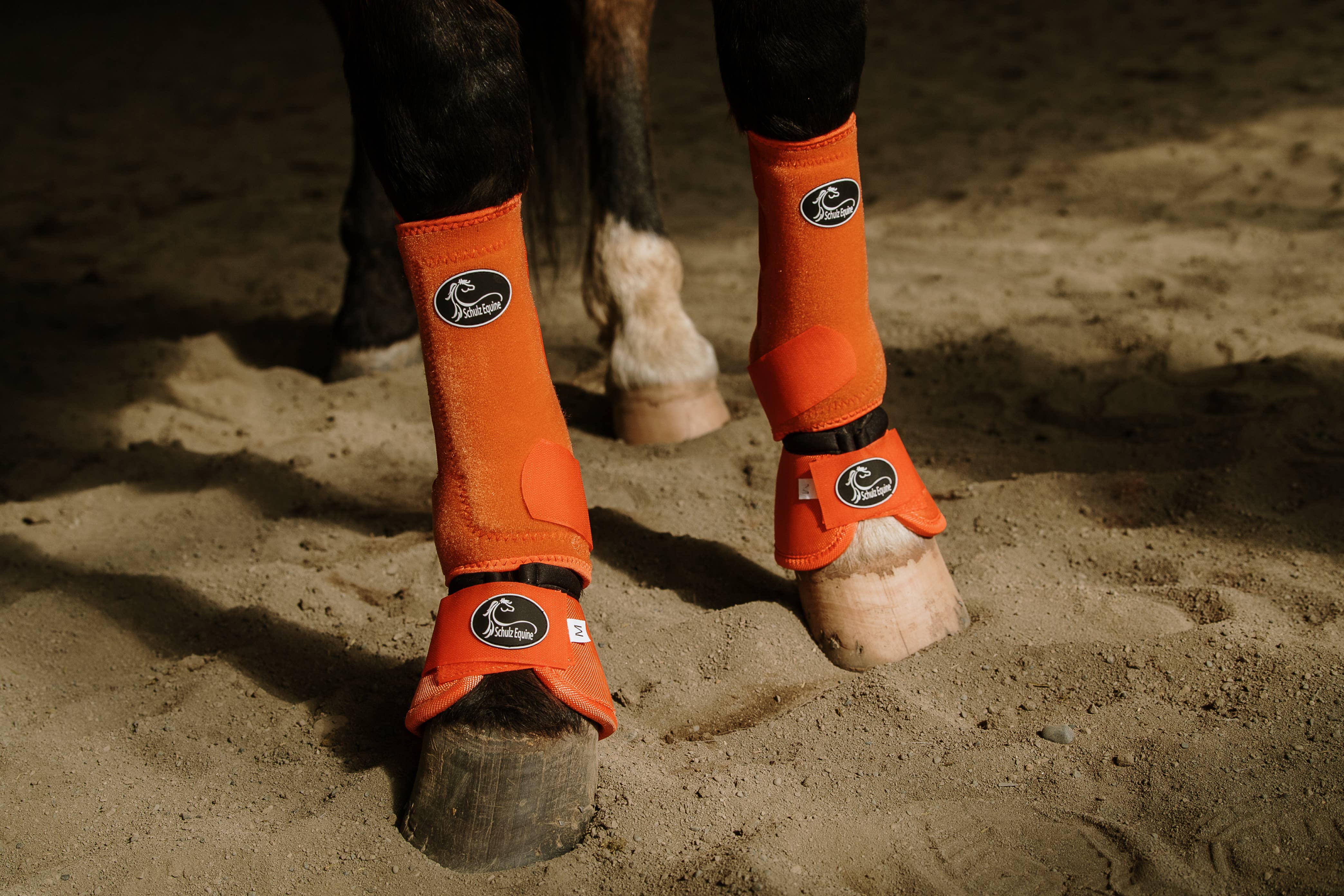 Schulz Equine – wholesale Ridutrustning – Schulz Equine bell boots med livfulla mönster8