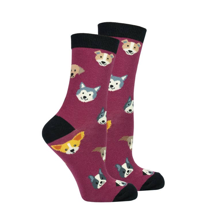Meias femininas para cães fofos por atacado de Socks n Socks