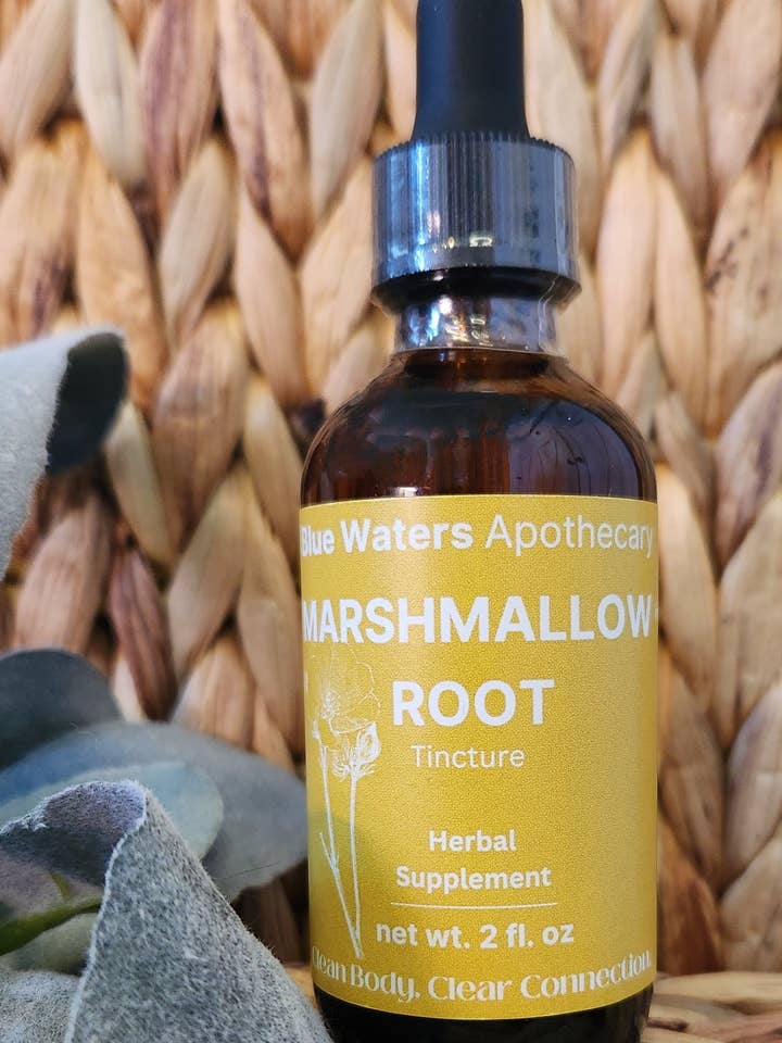 Tincture- Marshmallow Root for wholesale by Blue Waters Apothecary