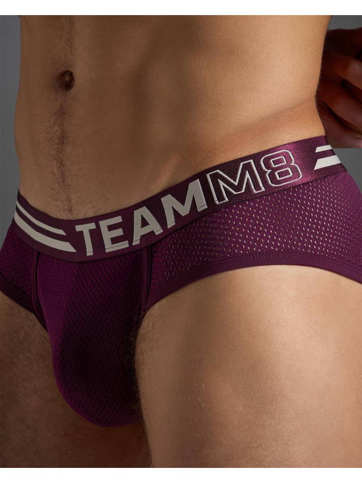 TEAMM8 - Wholesale Underwear – Men's - Racer Mesh Brief - Eggplant2