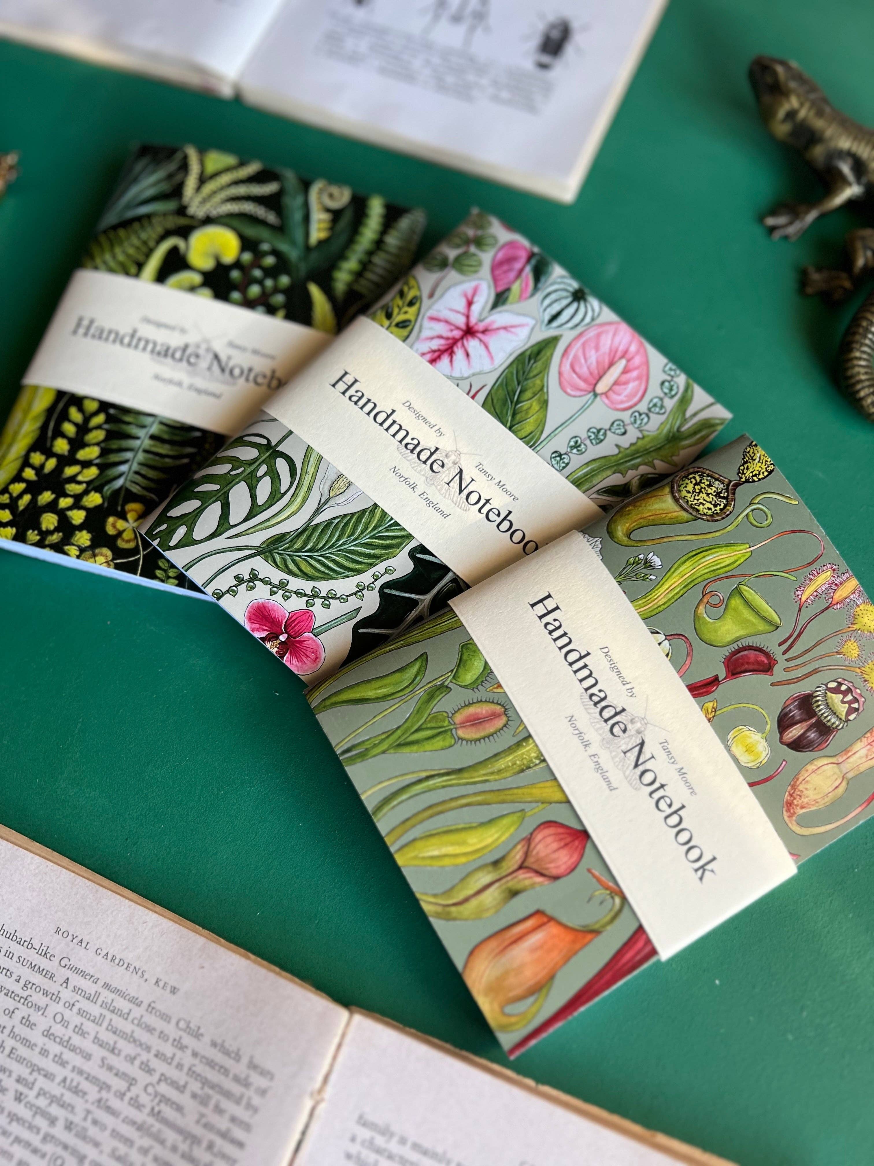 Tansy Moore - Vente Cahiers - Ensemble de carnets de poche Plantes1