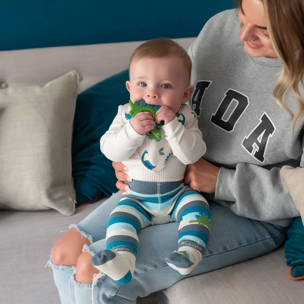 Ziggle Baby - Wholesale Clothing Set - Baby - Dino Leggings and Socks Set6