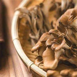 Sea Moss Organics LLC - Vente Café moulu - Café aux champignons biologique certifié4