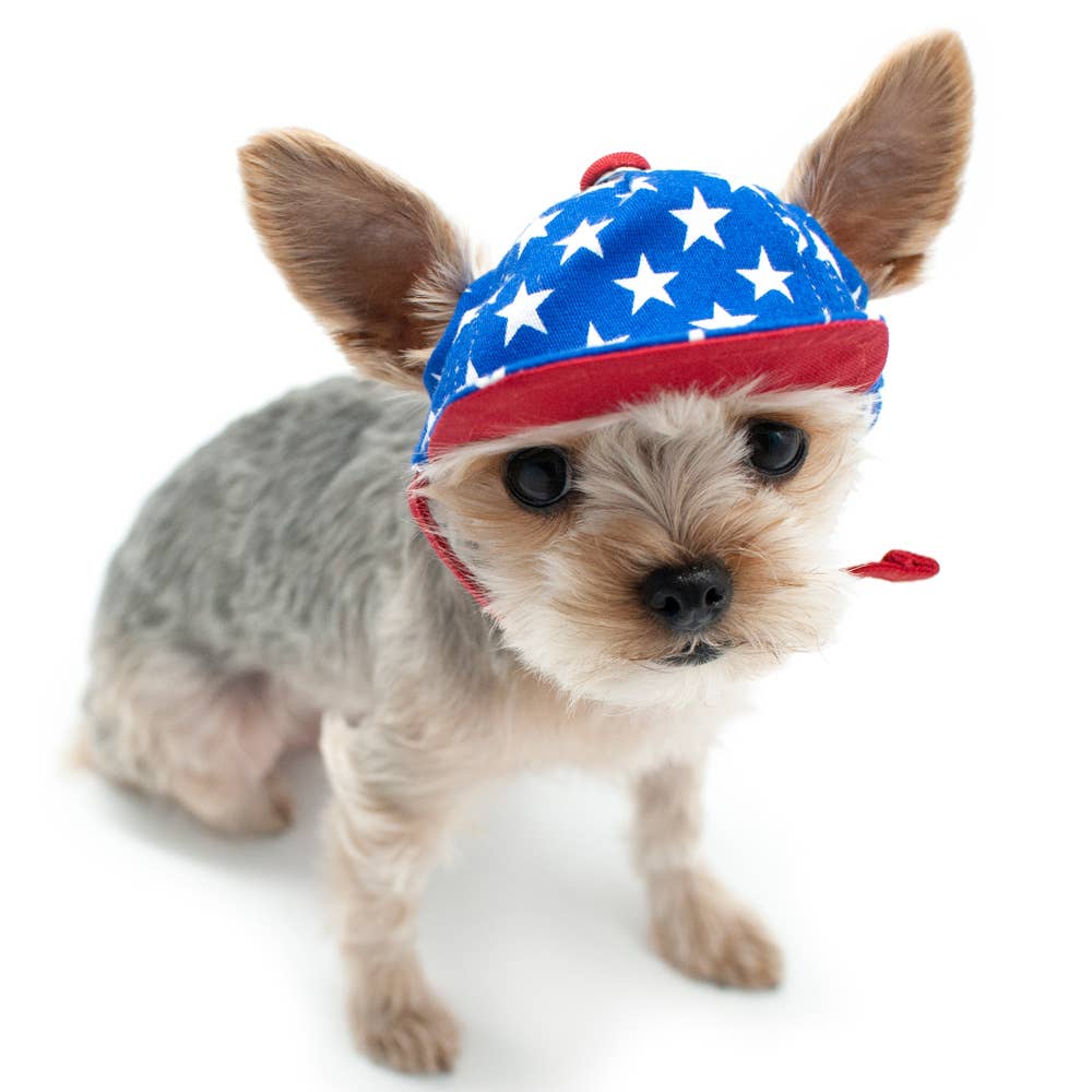 Dogo Pet - Wholesale Pet Hat - Dog - Star Hat0