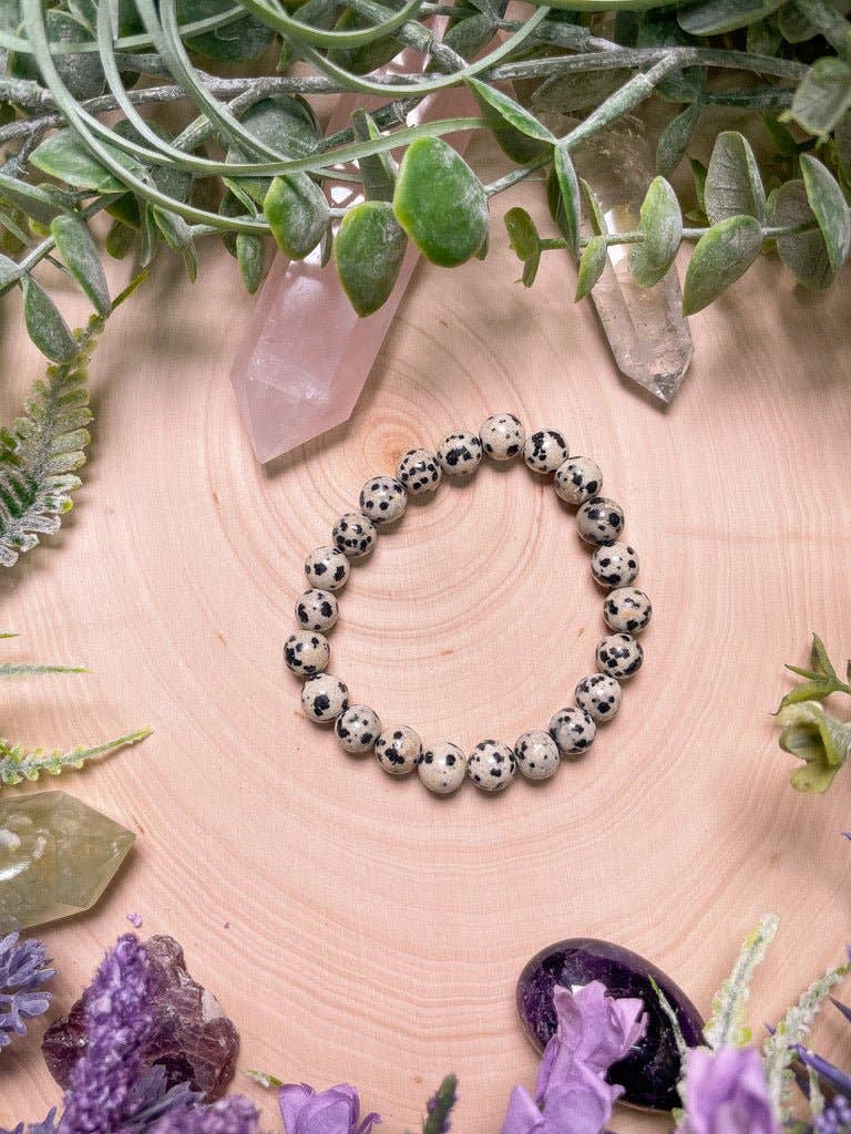Copper Ashes - Wholesale Beaded Bracelet - 8mm Beaded Dalmatian Jasper Bracelet2
