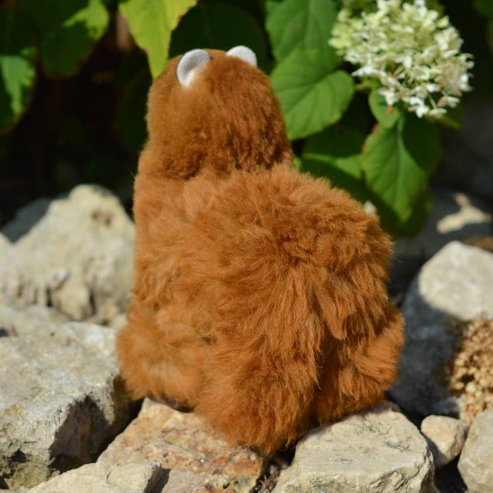 Alpaca market - Venta al por mayor Peluche - Niños y bebés - Peluche de alpaca