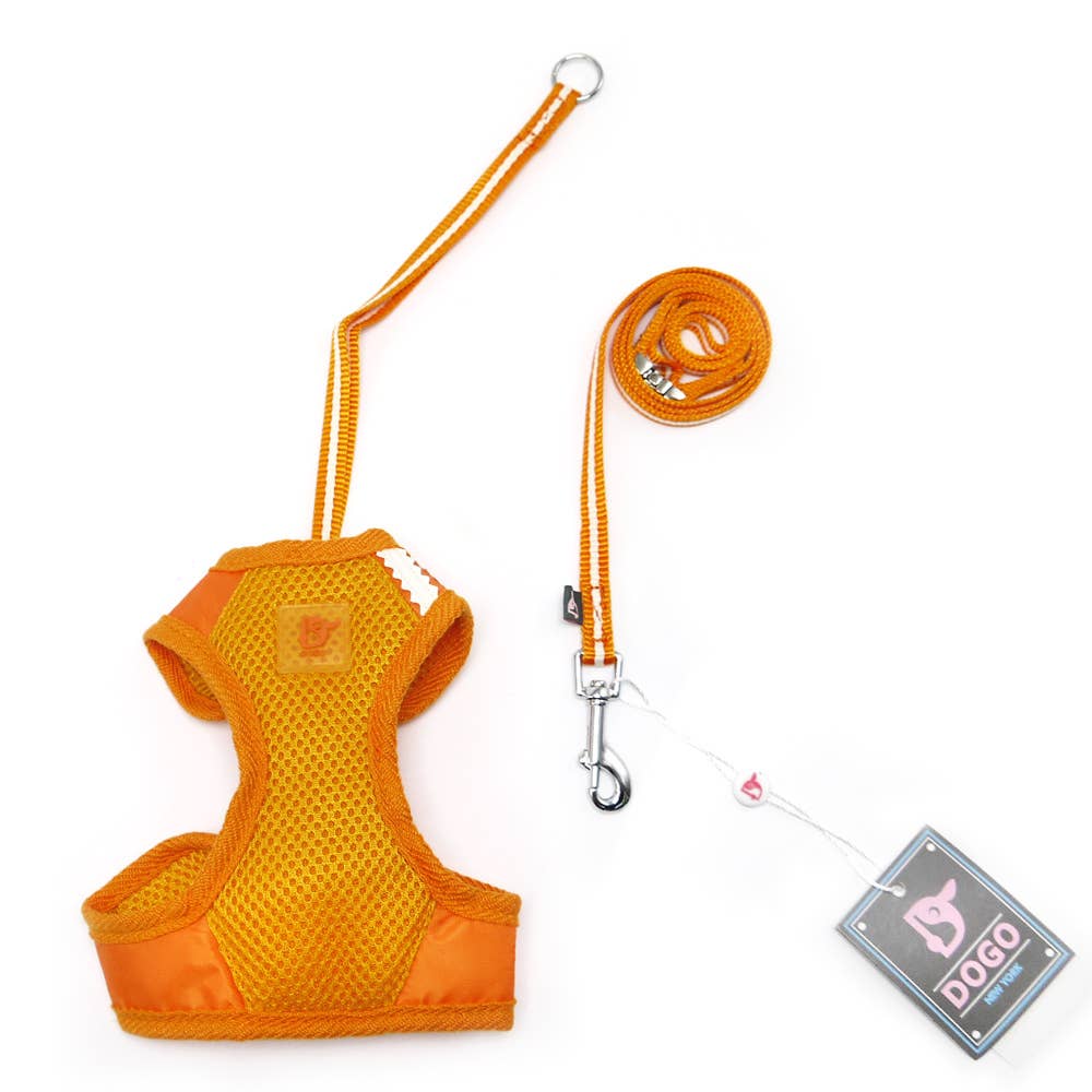 Dogo Pet - Vente Harnais – chien - Harnais EasyGo Basic28