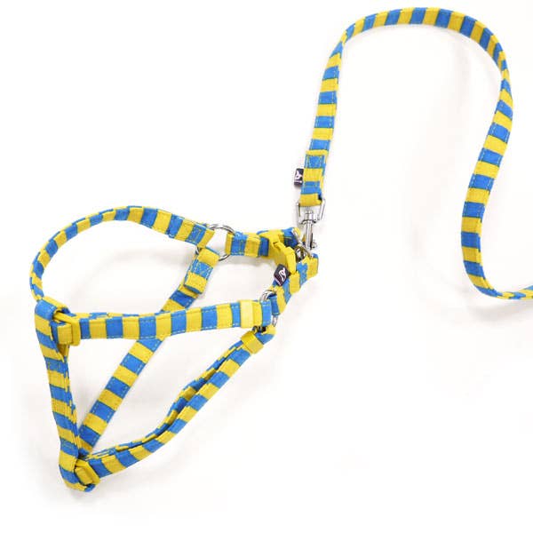 Dogo Pet - Vente Harnais – chien - Produits en rupture de stock - EasyClick Harness Stripes4