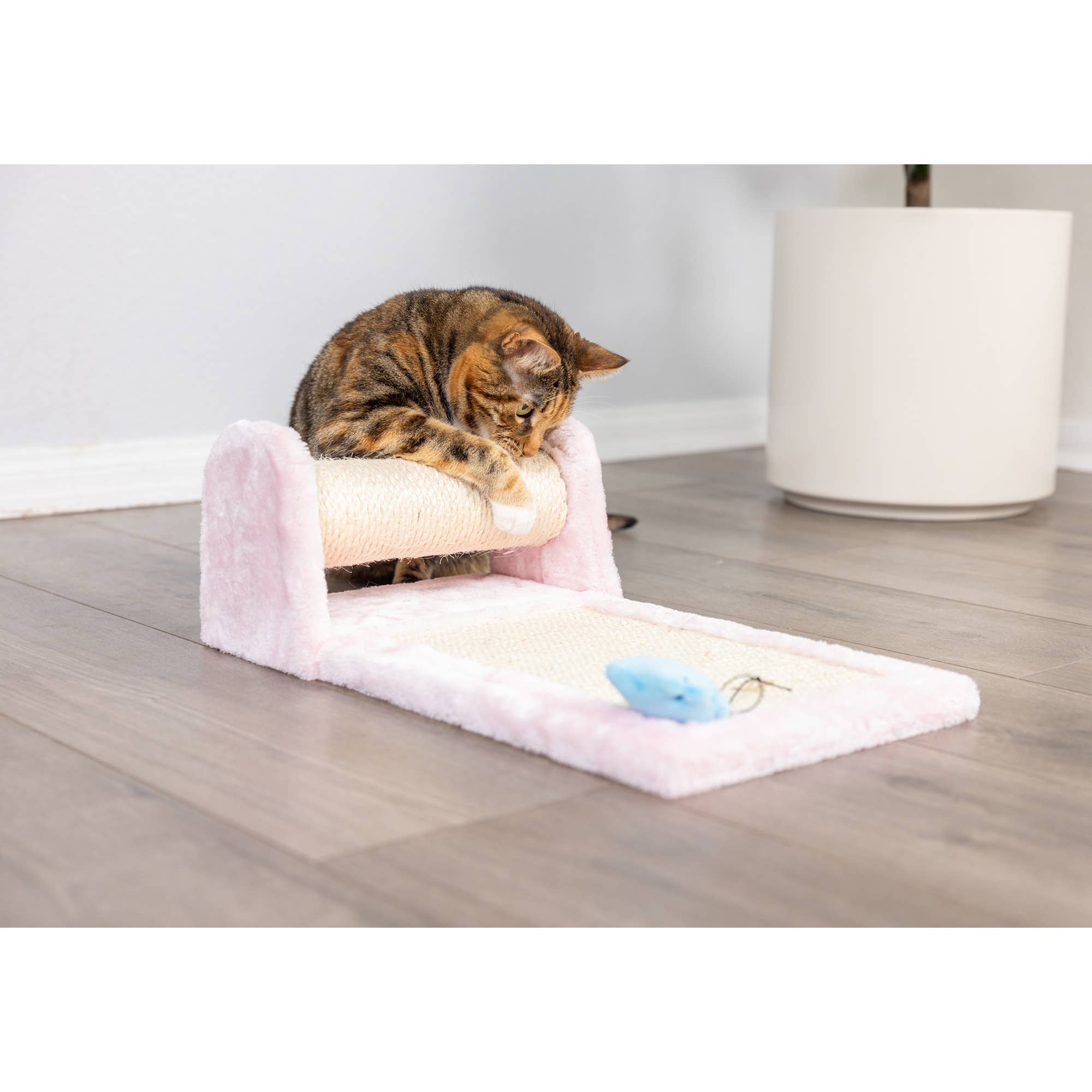 Armarkat - Wholesale Pet Scratcher - Cat - Armarkat Cat Rolling Scratcher in Pink4