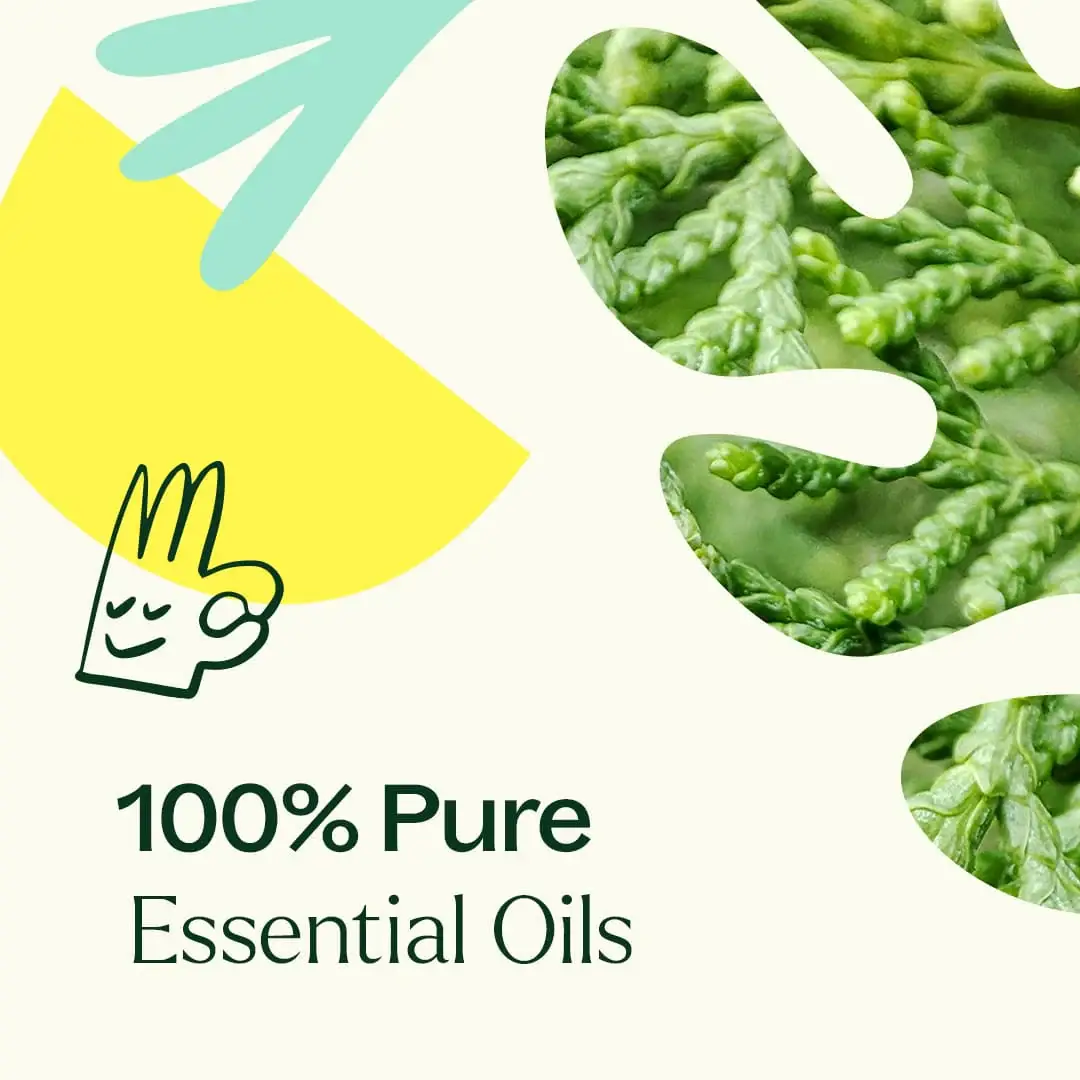 Plant Therapy – wholesale Eterisk olja – Deodoriserande eterisk oljeblandning 10 ml5