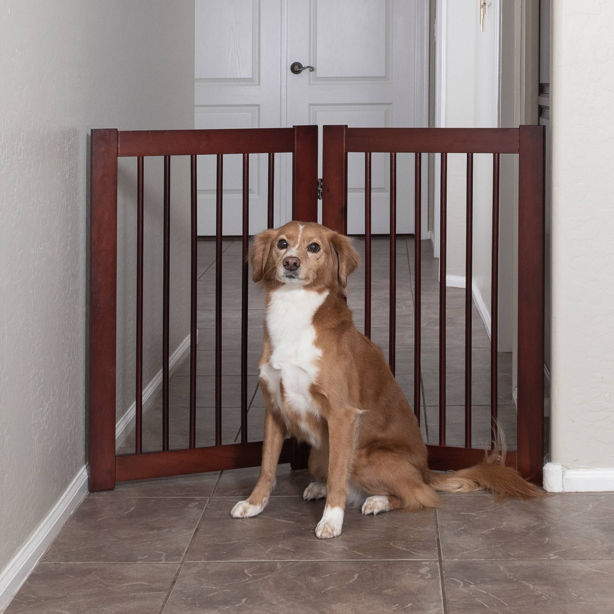 Primetime Petz - Wholesale Pet Folding Gate - Dog - 360 Extension Kit for Pet Gate1