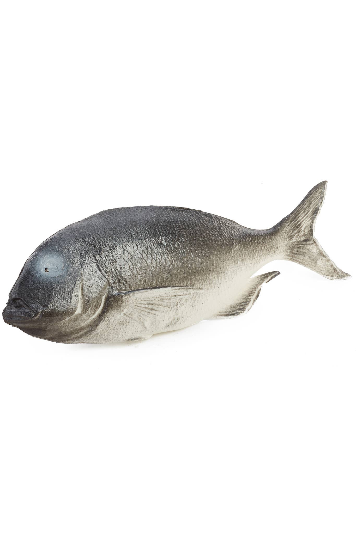 Studio Specialties - Wholesale Decorative Tabletop Object - DENTEX GREY (1)0