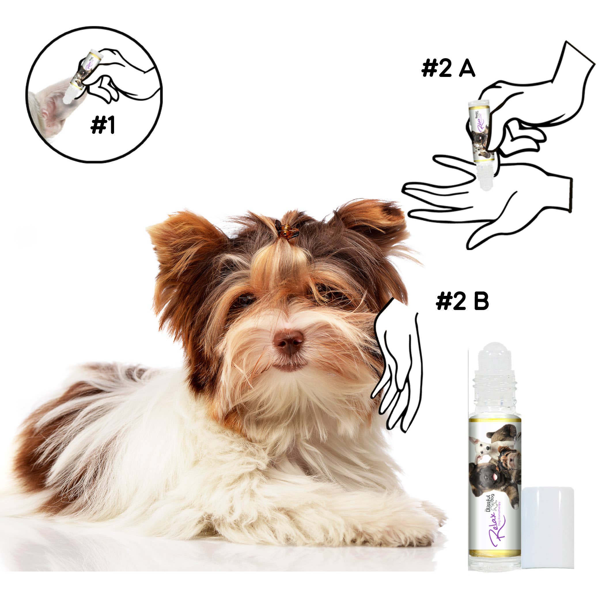 The Blissful Dog - Wholesale Pet Spray - Dog - Relax Dog Aromatherapy Calming Spray & Roll-on10