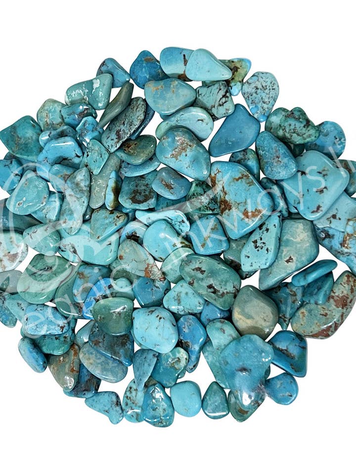 FETTA - TURCHESE, VERA PIATTA 0,25-1" (GRAMMO) per la vendita all'ingrosso da parte di Oceanic Linkways Inc