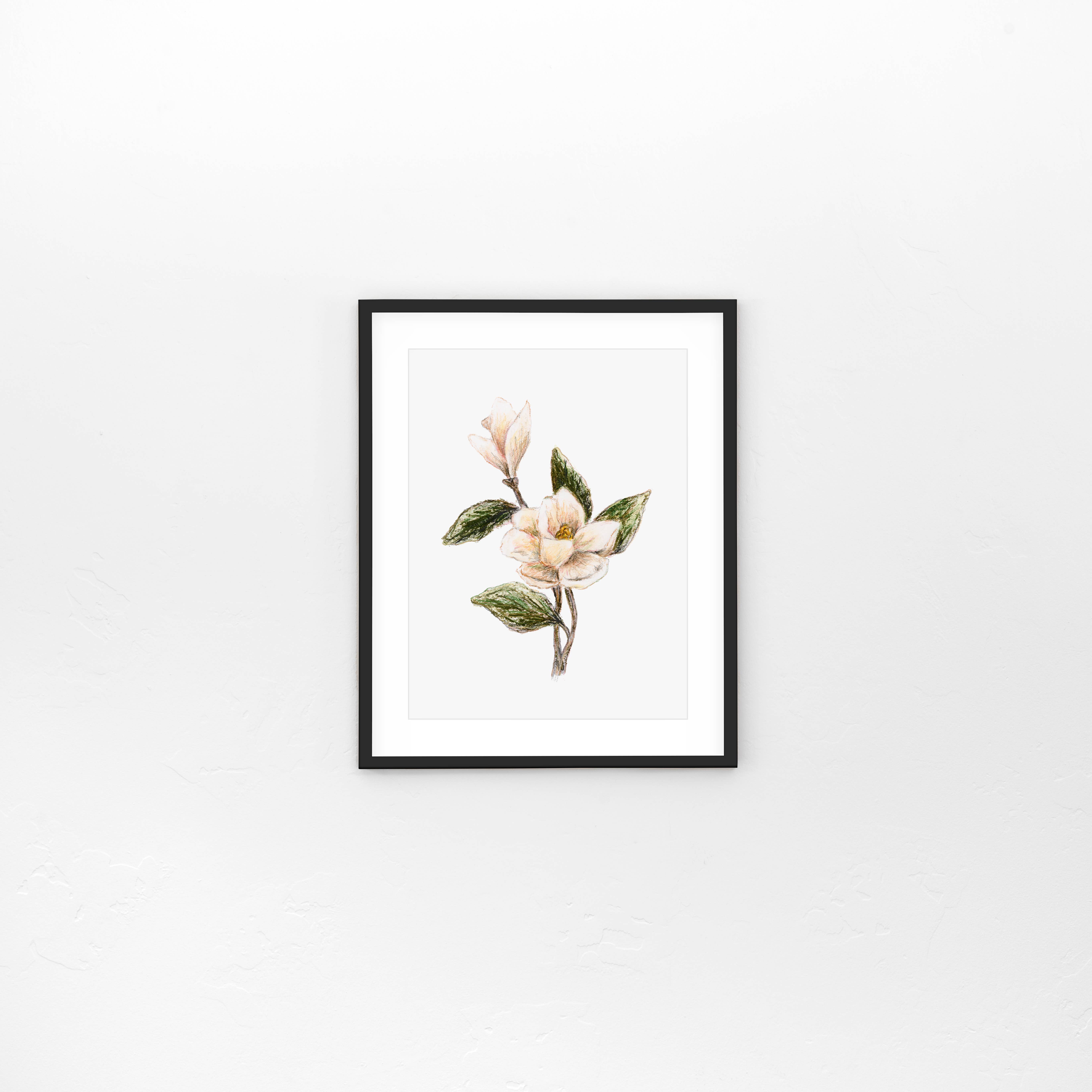 Howell Designery - Wholesale Art Print - Magnolia - Fine Art Print1