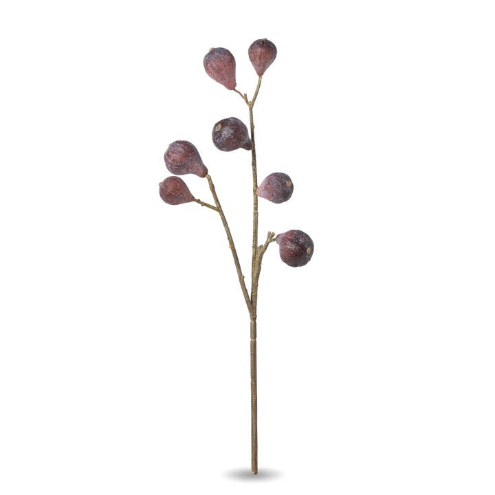Branche de figuiers de Caroline de la collection Park Hill pour la vente par Park Hill Collection