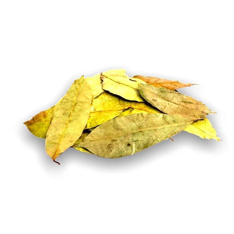 YERBERO - Wholesale Loose Tea - Yerbero - Whole Wildcrafted Dried Graviola Soursop Leaves 1 LB (453g - 1300+ Leaves Per Bag)4