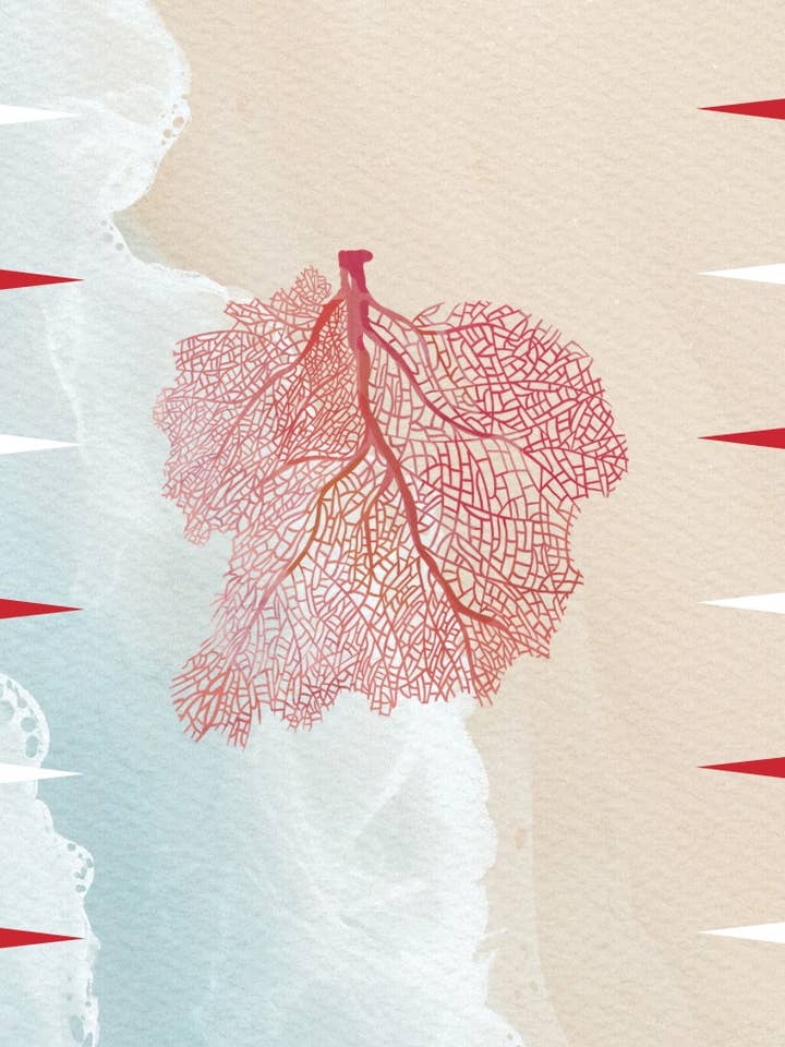 Game, Backgammon - Coral for wholesale by Maven Home