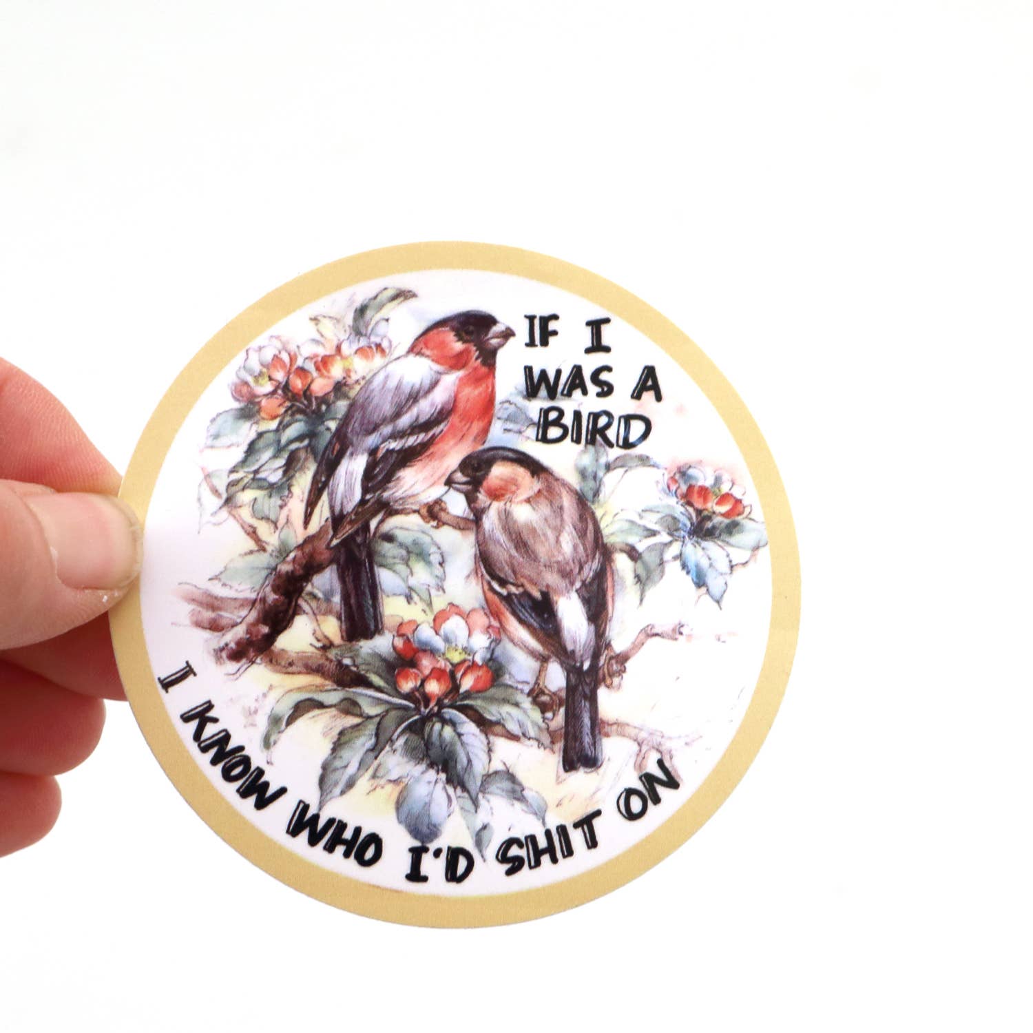 Lenny Mud - Wholesale Sticker - If I Was a Bird sticker, 3 x 3 sticker