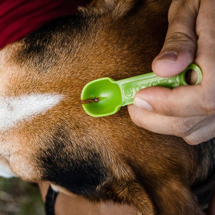 TickCheck - Wholesale Insect Repellent - TickCheck Tick Remover Spoon 3 Pack2