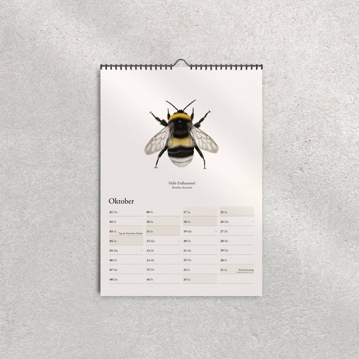 Terillu - Wholesale Calendar - Wall calendar 2026 with native bumblebees – Nature calendar in7