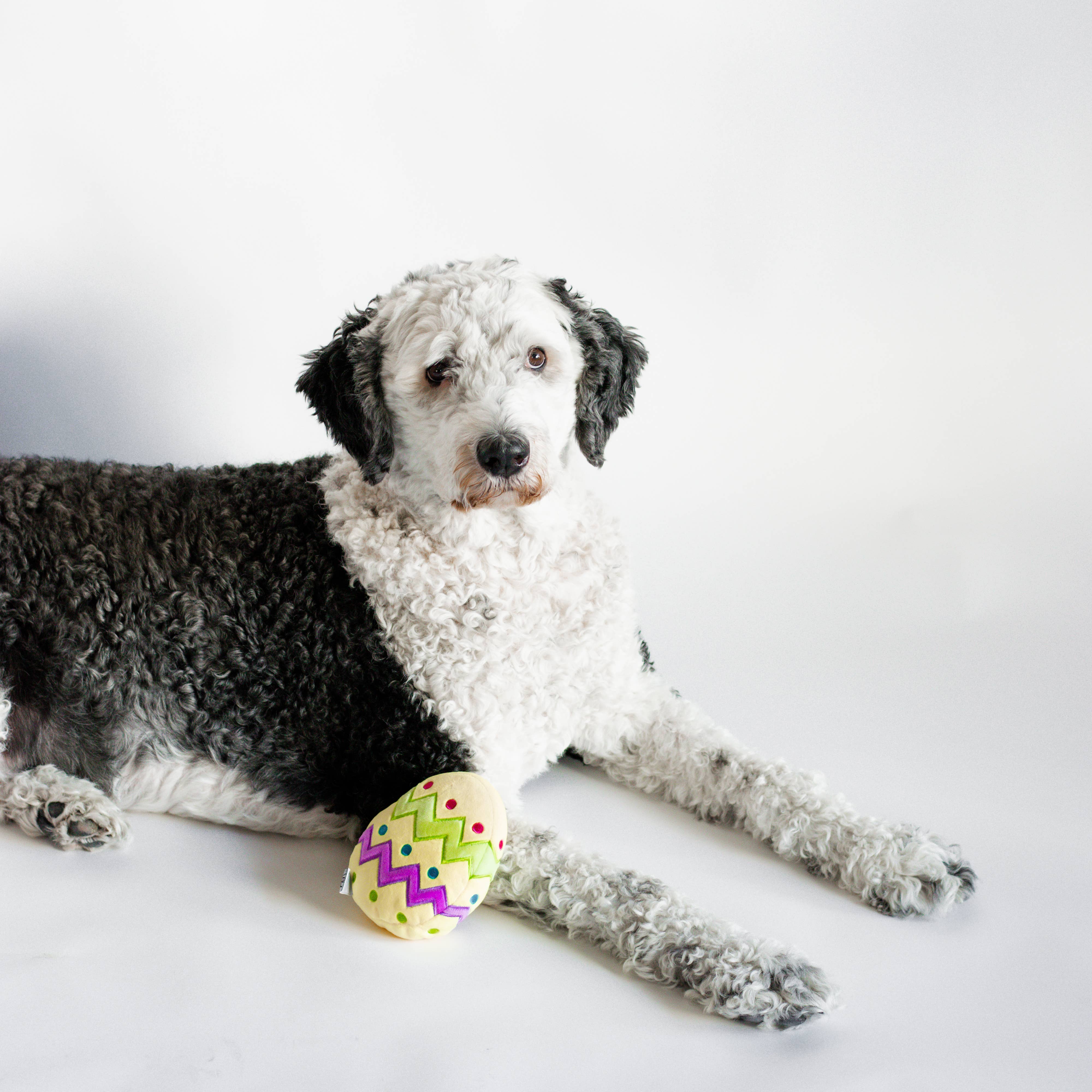 Midlee Designs – wholesale Pet plush toy – Dog – Midlee Plush Easter Egg Dog Toy with Squeaker6