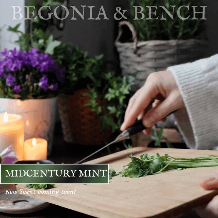 Midcentury Mint™ - 9oz. Amber Jar Candle - By Begonia & Bench® for wholesale by Begonia & Bench