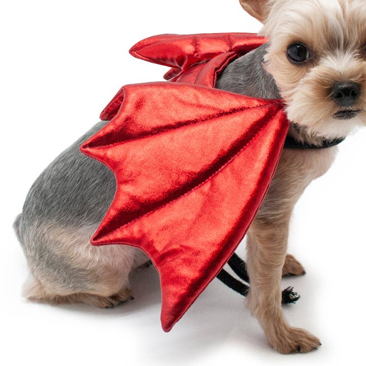 Dragon Wings for wholesale by Dogo Pet