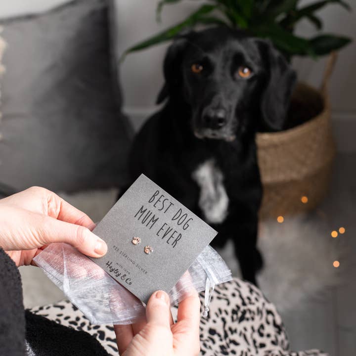 Hayley & Co - Wholesale Stud/Post Earrings - Sterling Silver Earrings Paw Print 'Best Dog Mum'6