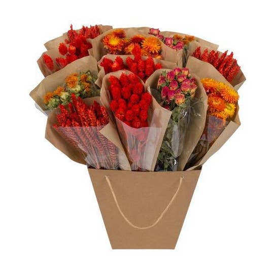 Oasis of Life – wholesale Dried/pressed flowers – Dried Flowers – Mono Mix – Orange – ↕50cm – Hand-tied Bouquet – Long-lasting & Low-maintenance – Decoration & Gift Idea0