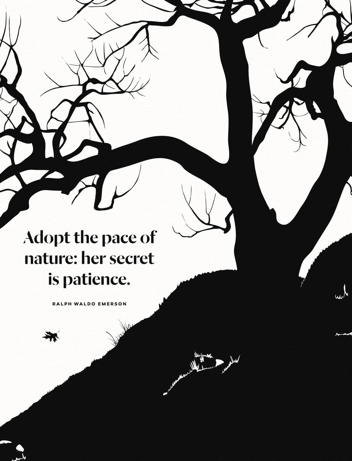 Obvious State - Wholesale Poetry & Drama - On Nature: Collected Works8