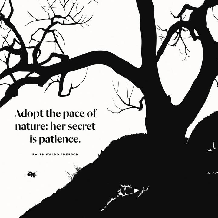 Obvious State - Wholesale Poetry & Drama - On Nature: Collected Works8