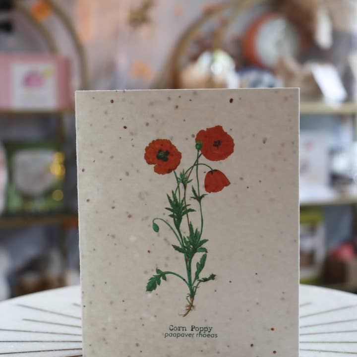 The Raven’s Edge Studio - Vendita all'ingrosso Biglietti di auguri generici - Biglietto Plantable Wildflower | Carta ecologica | Corn Poppy1