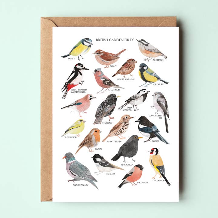 Sarah Frances - Wholesale Everyday Greeting Card - British Garden Birds Greetings Card