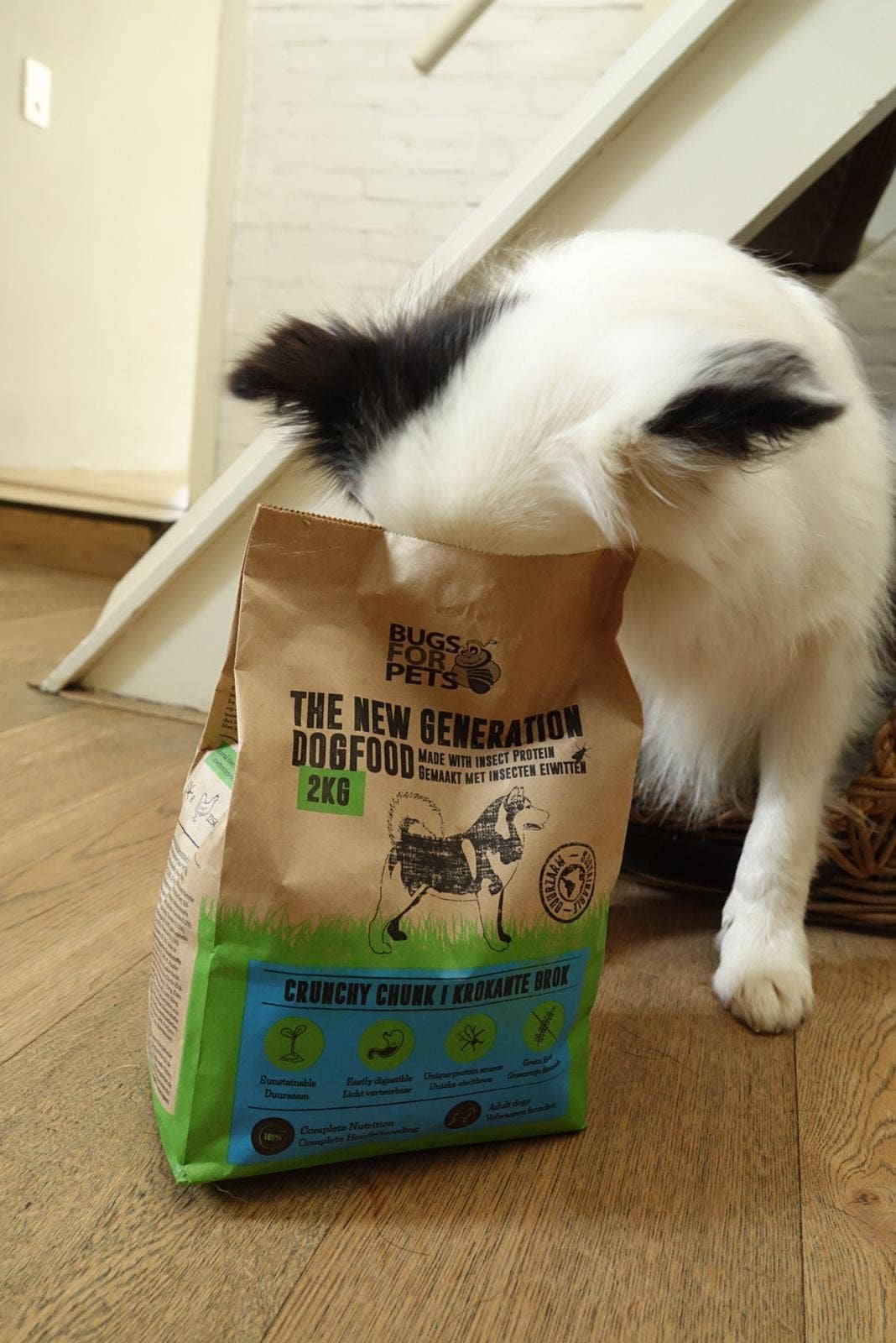 bugsforpets - Wholesale Pet Food - Dog - BugsforPets Crunchy dog kibble 2kg1