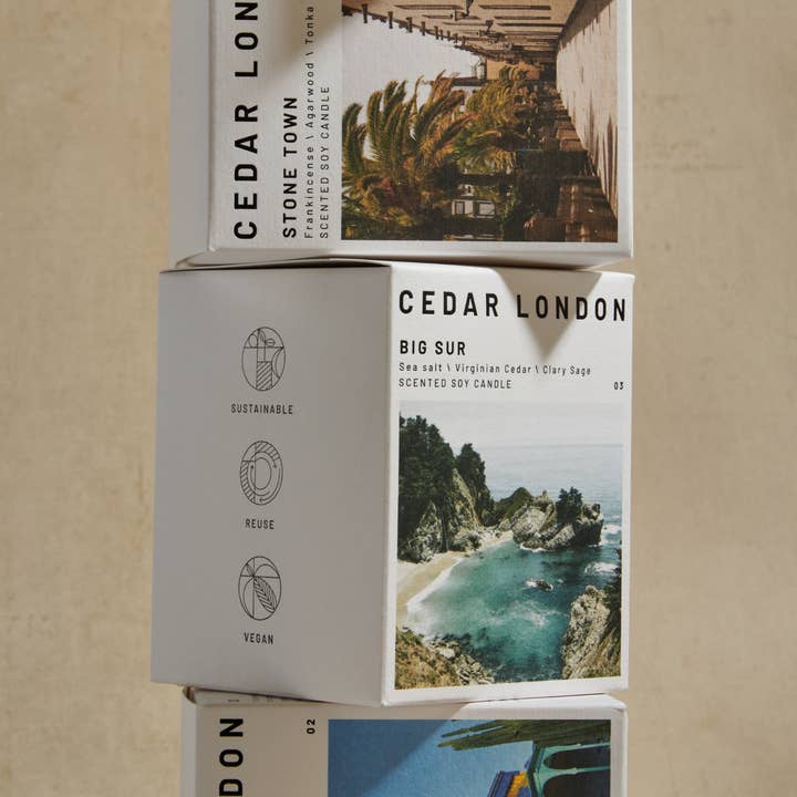 Cedar London - Venta al por mayor Velas en tarros - Vela Big Sur: Vela de soja con aroma a sal marina, salvia y madera de cedro.5