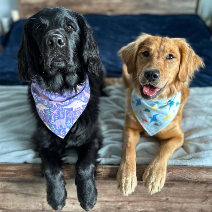 BibbyBubby - Wholesale Pet Bandana - Dog - Ketchup & Mustard Dog Bandana, Summer BBQ (Limited Run)2