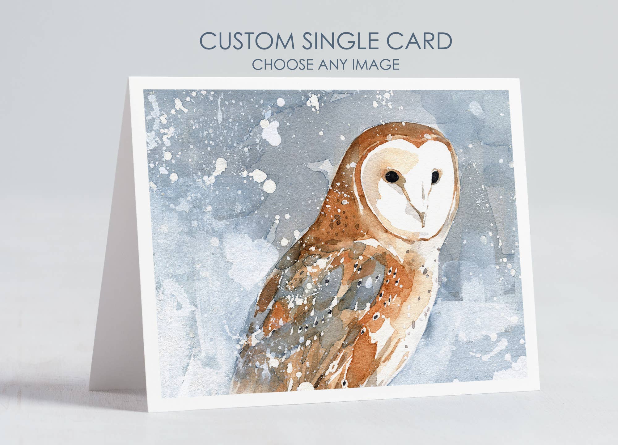 Studio Tuesday - Wholesale Everyday Greeting Card - Custom Card - Choose any design0