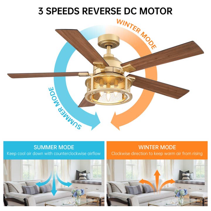 Brio Lighting - Wholesale Ceiling Fan - Ceiling Fan Farmhouse 52" Gold Reversible 5-Blade 3-Light11