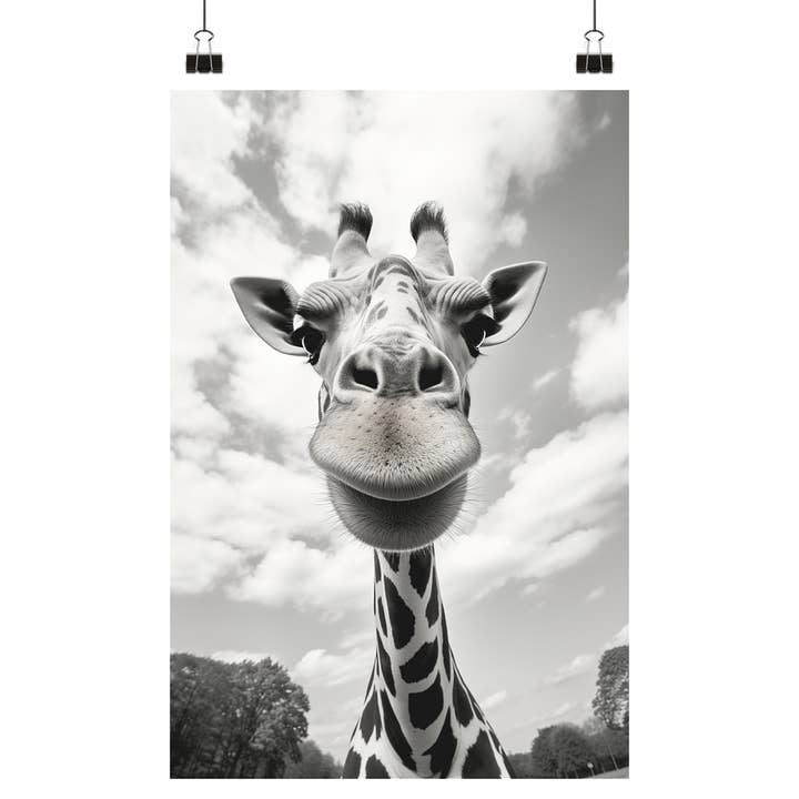 Baby Giraffe - Vintage Black White Photo for wholesale by reetro
